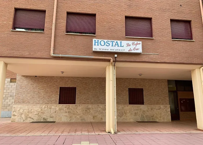 La Cepa De Oro Аранда-де-Дуэро